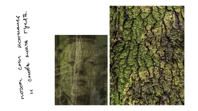 slide_16_9_-_16